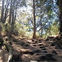 都市 eBird 賞鳥資料庫