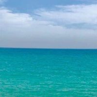 🇹🇼揪🐻麻吉旅遊🗺️拼單人