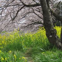 埼玉/東京 イベント情報 by SCRATCH