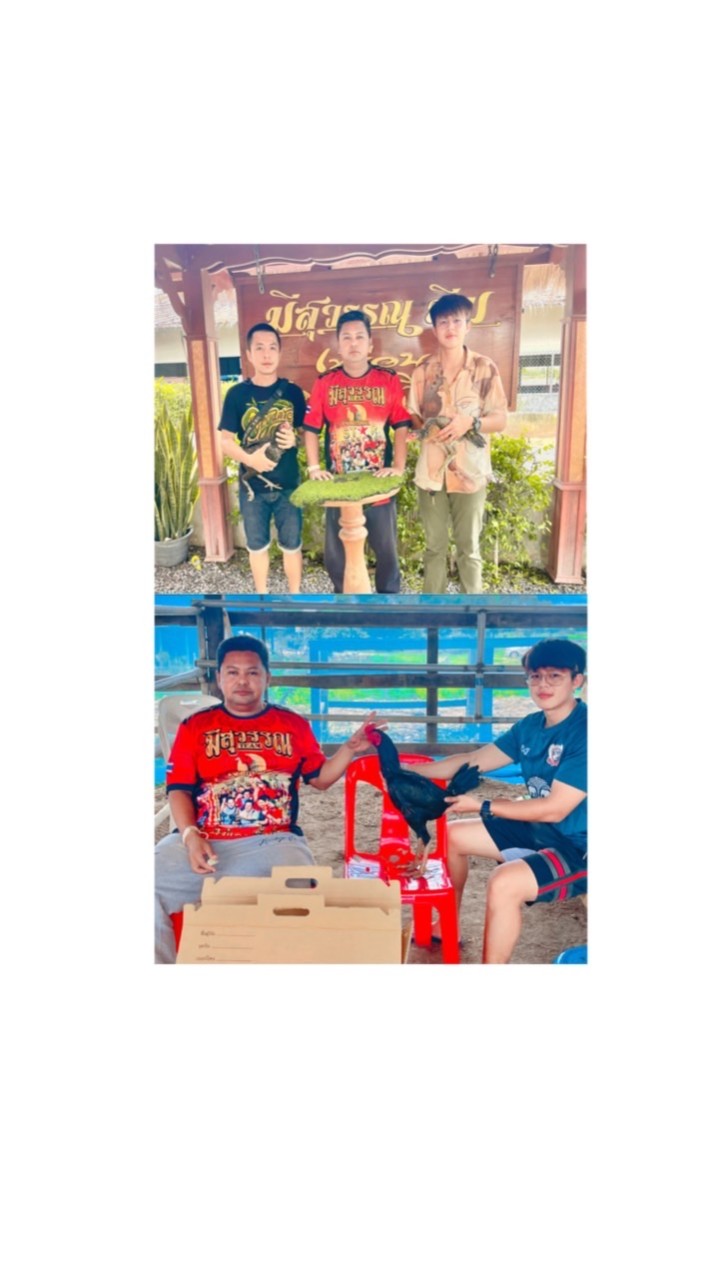 ไก่เยียร์ เมืองขุนแผน