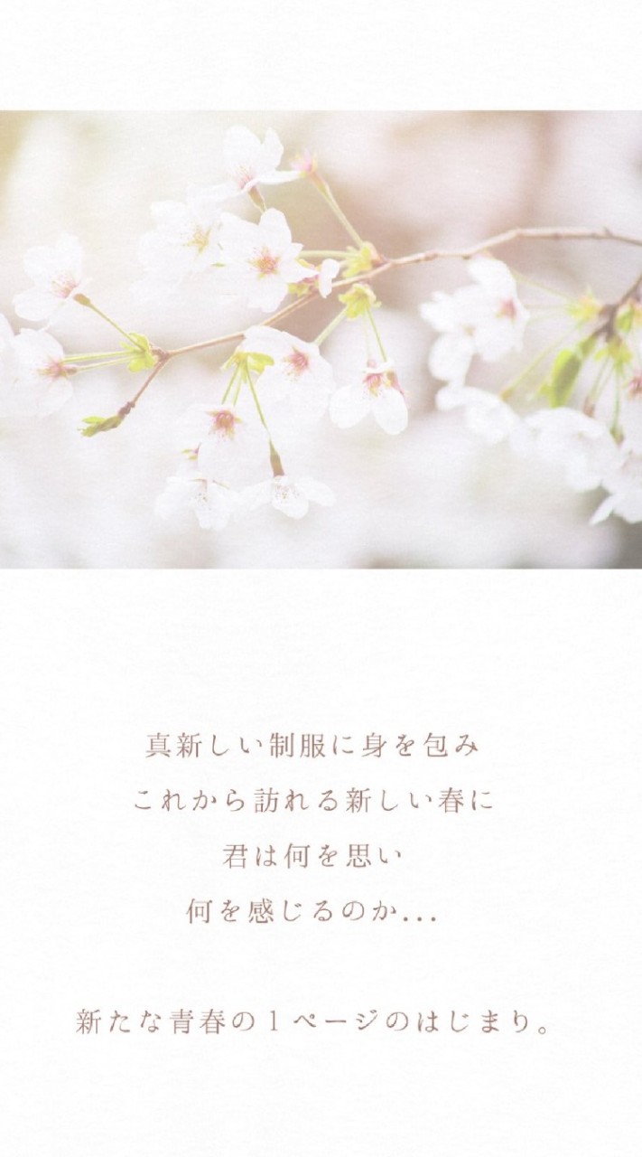 OpenChat 元気な高校生活