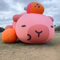 磐石回家功課