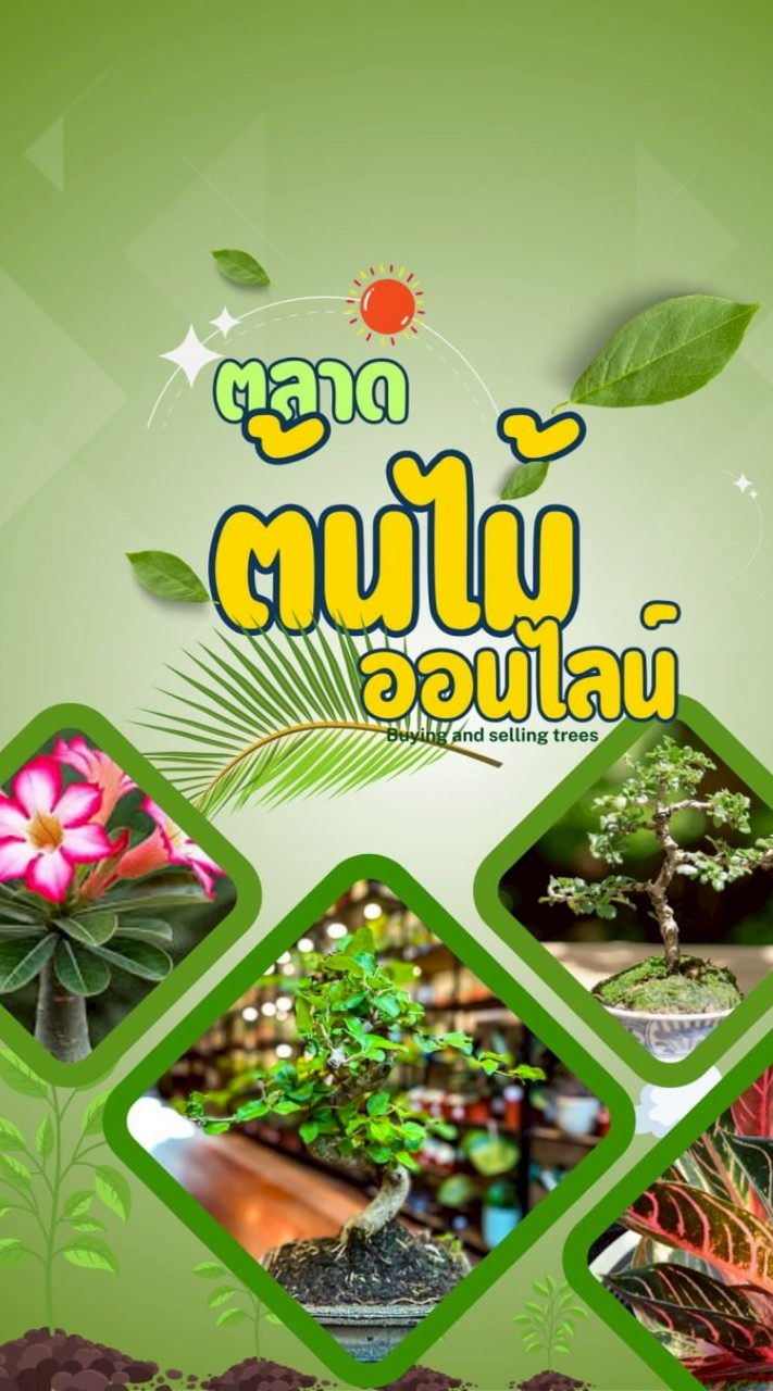 🌳 CTP. BuySell Plants 🍀
