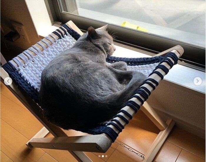 初心者でも簡単 手編みの ニャンモック が密かなブーム