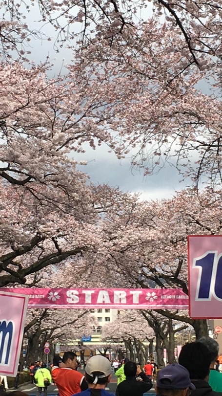 Runtrip日立さくらRR2026