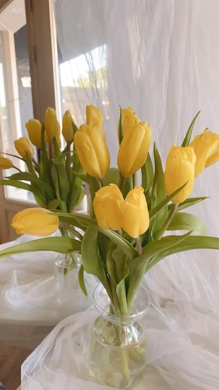 花迷日子 x 花與生活慢慢聊