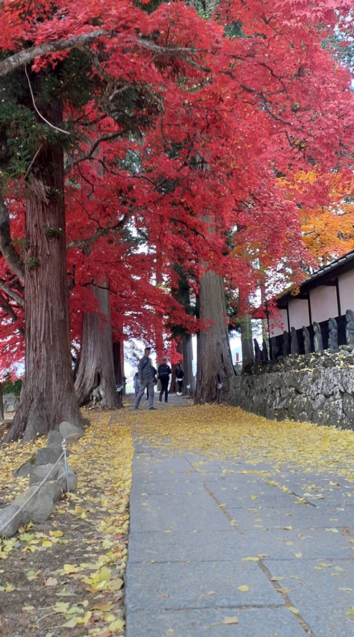 ⛩関東限定🐾気軽に御朱印巡り⛩️