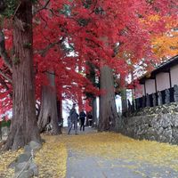 ⛩関東限定🐾気軽に御朱印巡り⛩️