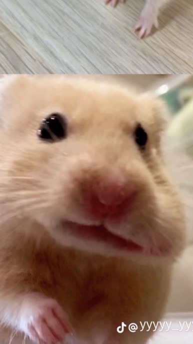 管理人は一生非リアだよー❓