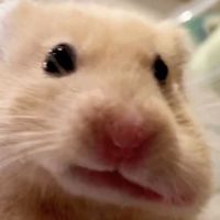 管理人は一生非リアだよー❓