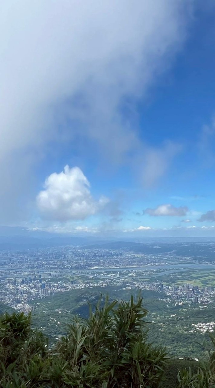 114中興大學法律新生群
