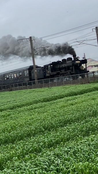 鉄道なんでも室