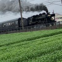 鉄道なんでも室