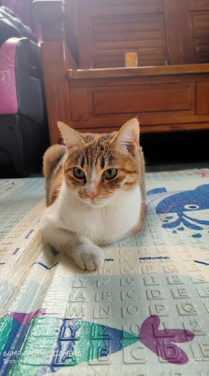 ❤️閨蜜們❤️