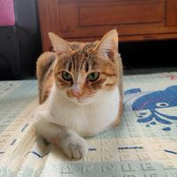 ❤️閨蜜們❤️