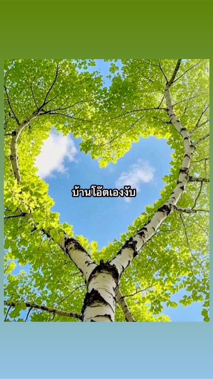 ☘️บ้านโอ๊ตเองงับ☘️