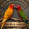 เรดซัน & เรดพาย ซันคอนัวร์ Thailand