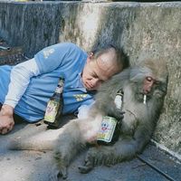 飛越太瓶洋