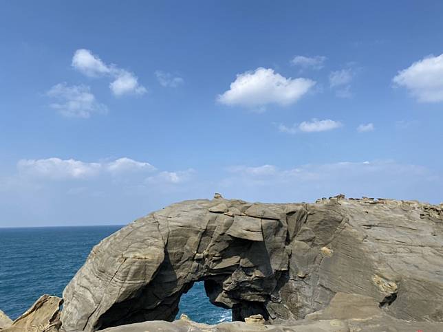 圖片來源：網友 Kate Chen提供