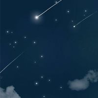 ✨皇家組織協會✨