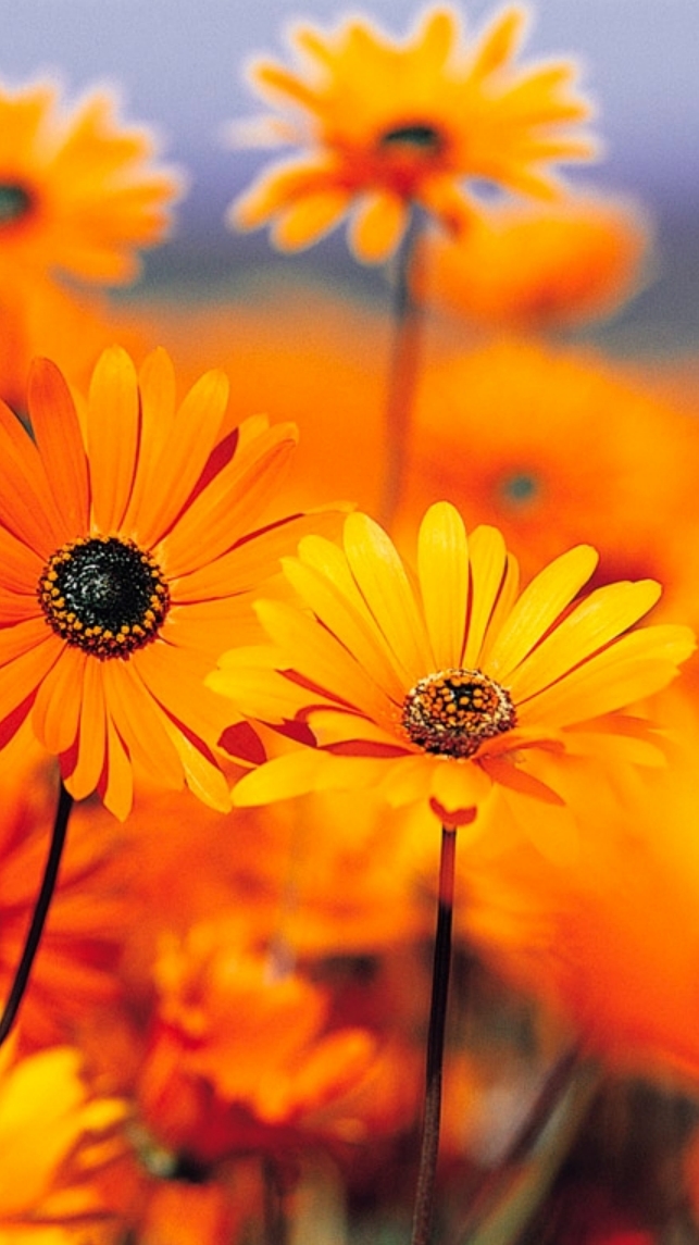 เรียนภาษาไปกับครูหนุ่ยและน้องน้ำ