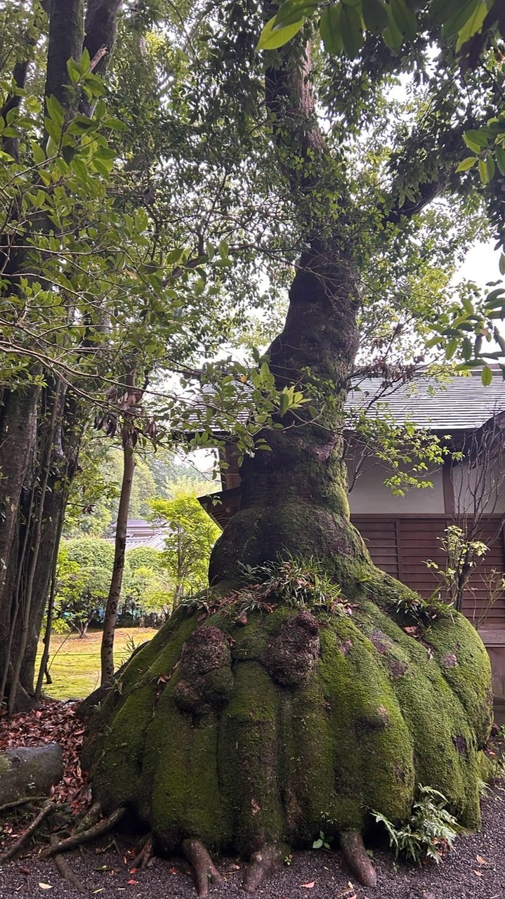 毎日ことまもり