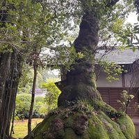 毎日ことまもり