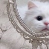 中高生のジャニヲタさん❕