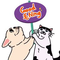 GOOD 毛NING｜寵物選物店🐾
