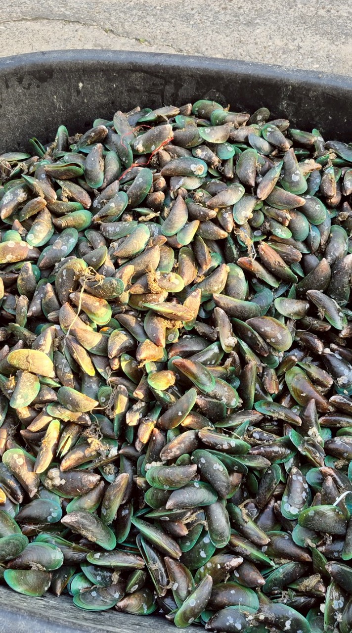 อาหารทะเล