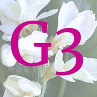 G3 ม.1/6 สว.นศ. รายวิชาสมาธิพัฒนาปัญญา
