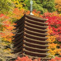 【近畿】40代からの御朱印集めと神社仏閣参拝・雑談・遠足