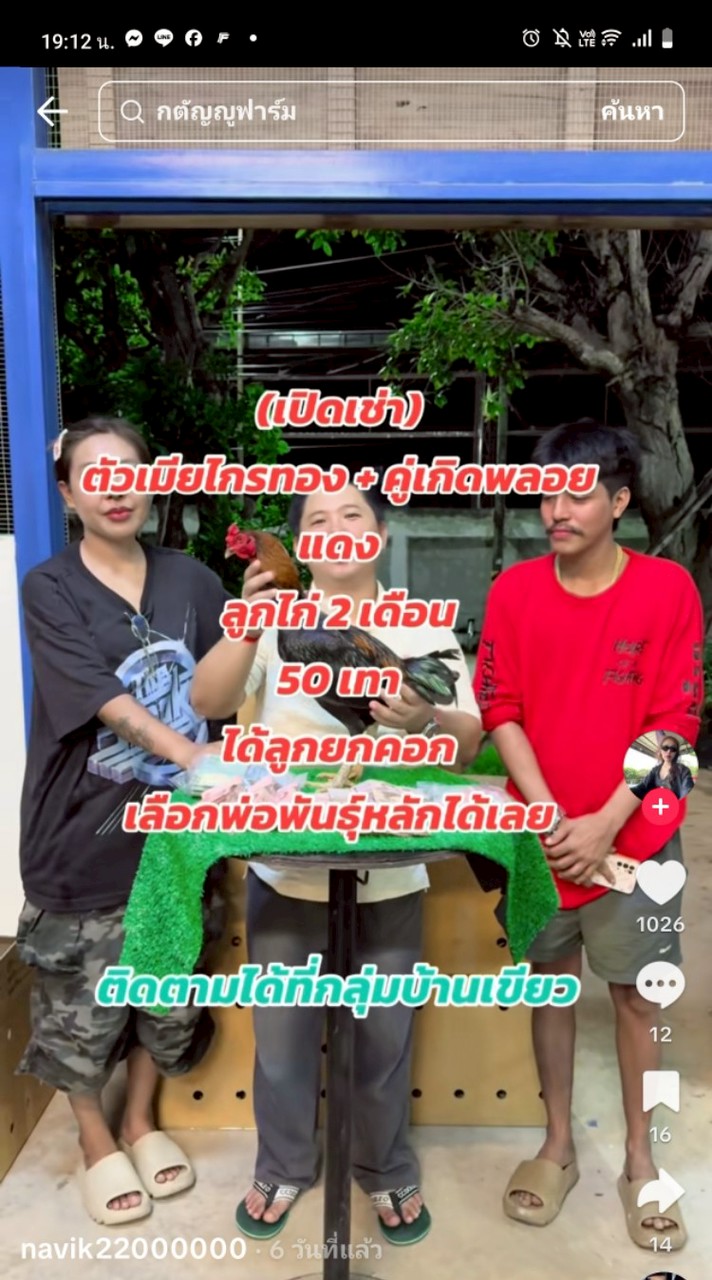 กลุ่มจองลูกไก่ไกรทองลูกทัพเงินล้าน