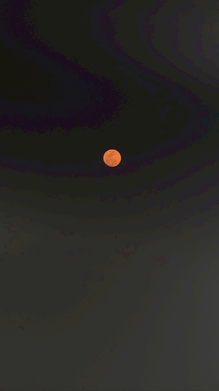 台灣大道走九遍