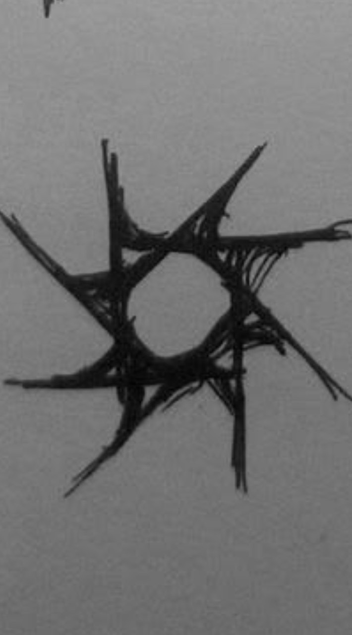 被遺棄/死亡之死oc群