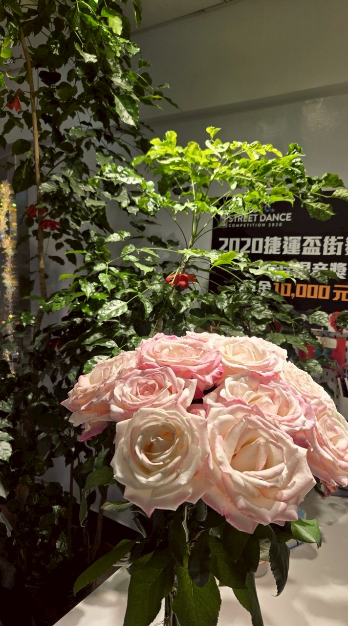 週日16:00雙人拉丁班