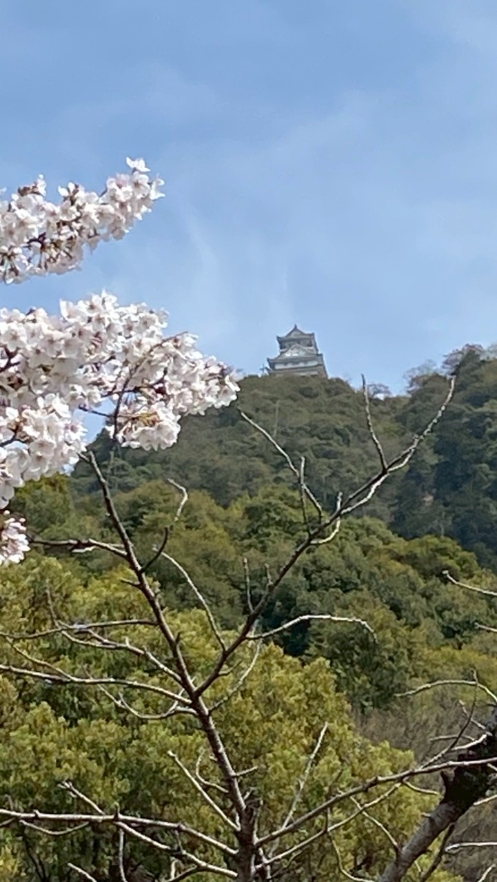 金沢ボラ大　お城巡り隊