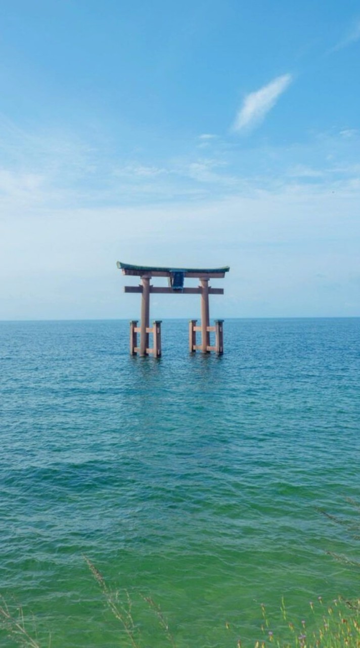 滋賀県民   (関西もあり)