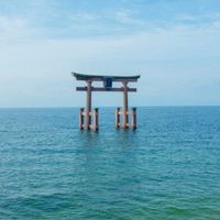 滋賀県民   (関西もあり)