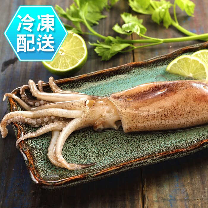 新鮮魷魚串200g 燒烤 冷凍配送[CO000136]千御國際。人氣店家千御國際多國食品的▎限時秒殺新品上架有最棒的商品。快到日本NO.1的Rakuten樂天市場的安全環境中盡情網路購物，使用樂天信用