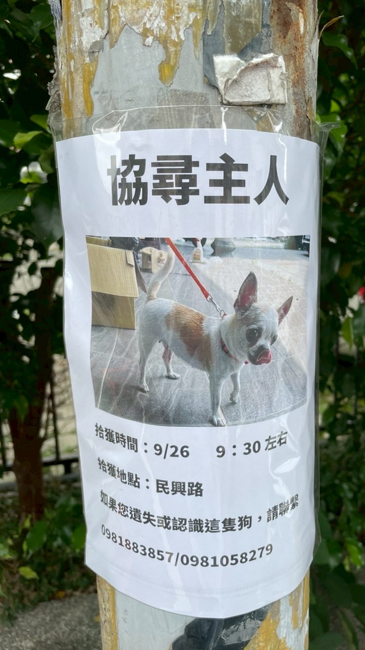 台中滑板（東海沙鹿西屯廣福橋龍井）