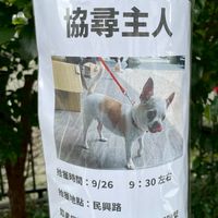 台中滑板（東海沙鹿西屯廣福橋龍井）