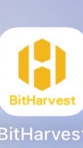 配信専用BitHarvest ♾️ HIROTA G