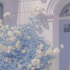 全也の楽園…作りませんか