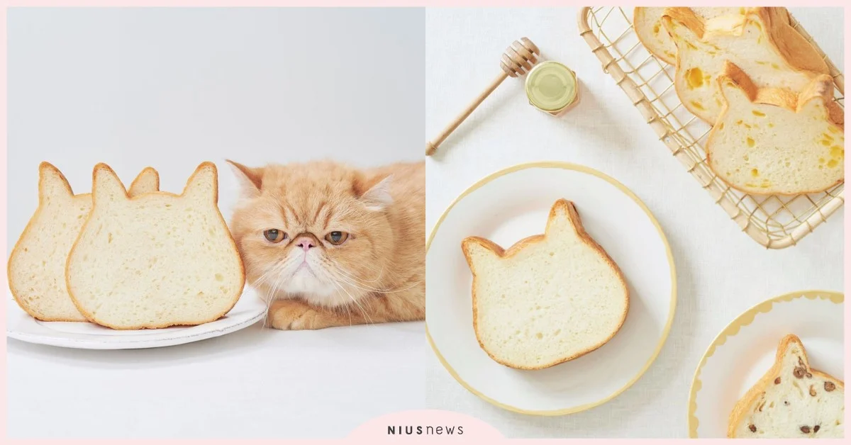 NEKO NEKO SHOKUPAN貓咪吐司專賣店 貓奴 快閃 日本 吐司