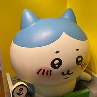 油米有💚日本連線代購許願團