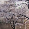 2025,スナップ展