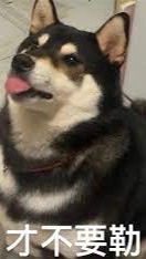 壁紙.梗圖分享～(￣▽￣)