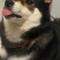 壁紙.梗圖分享～(￣▽￣)
