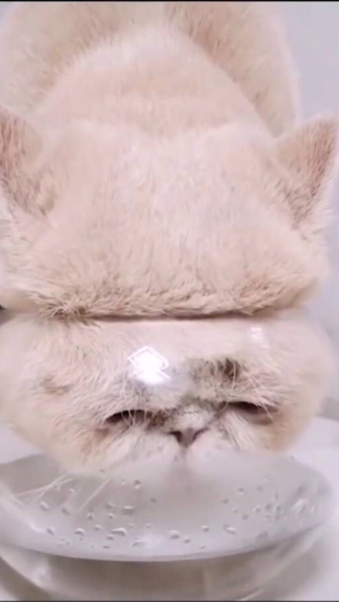 我好無聊(◐‿◑)﻿